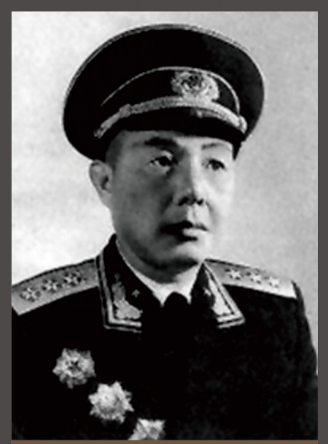 苏振华